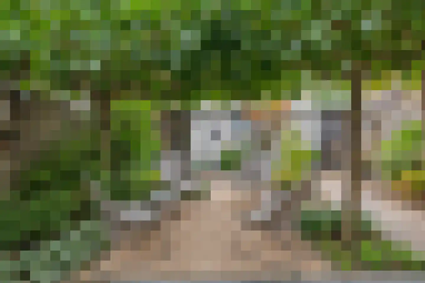 Spuilaan 226 Oudenbosch thumbnail 28