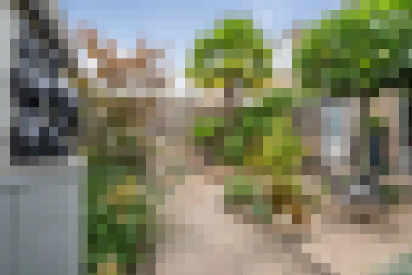 Spuilaan 226 Oudenbosch thumbnail 30