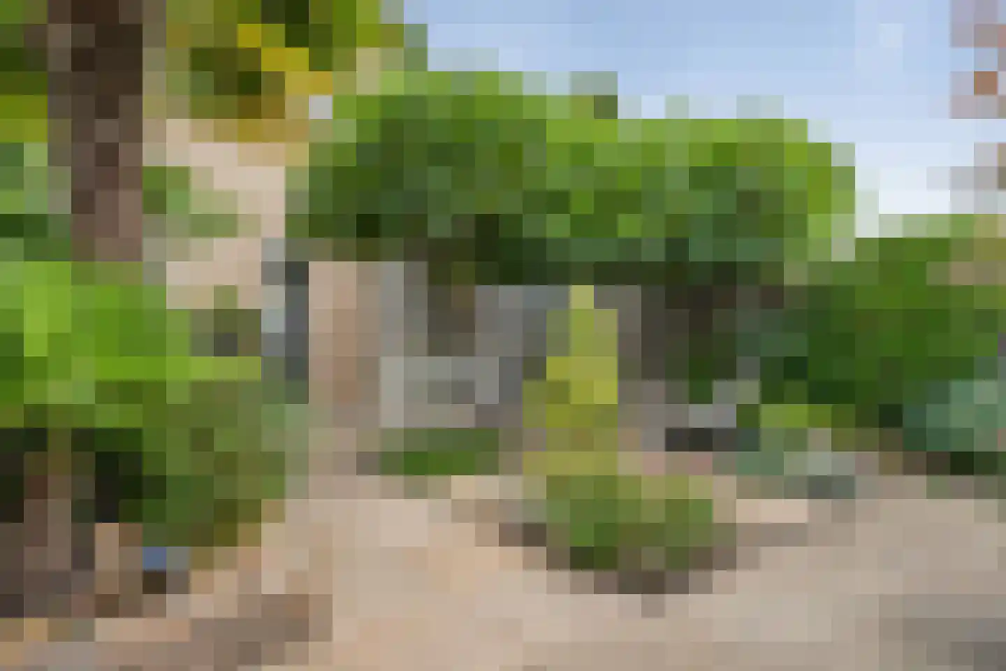 Spuilaan 226 Oudenbosch thumbnail 31