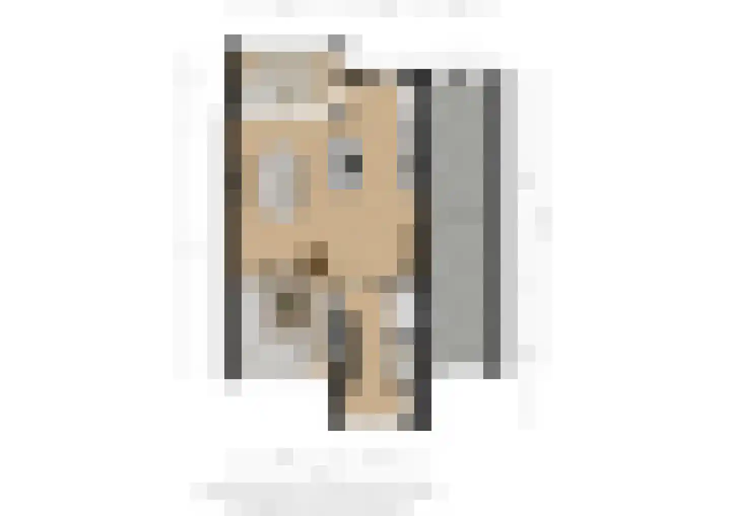Spuilaan 226 Oudenbosch thumbnail 36