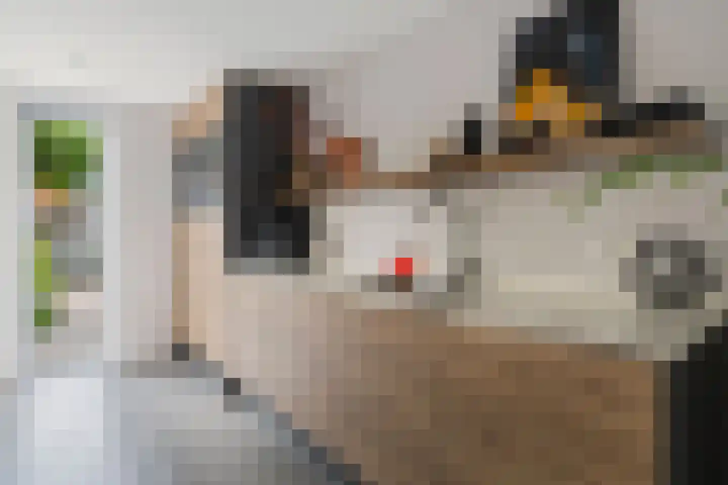 Spuilaan 226 Oudenbosch thumbnail 5