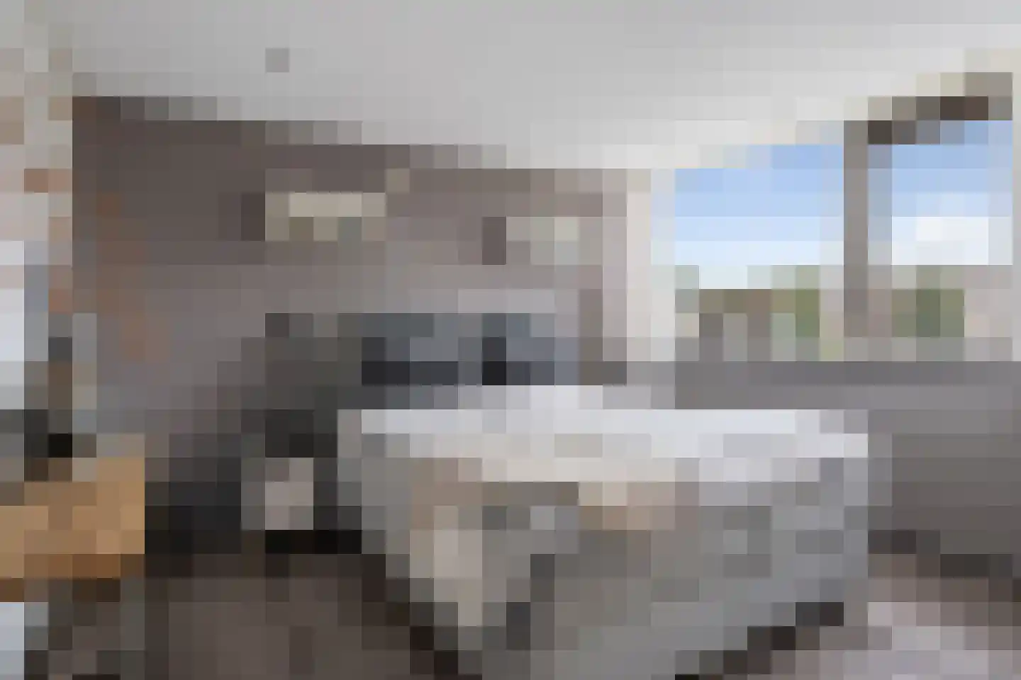 Spuilaan 226 Oudenbosch thumbnail 6