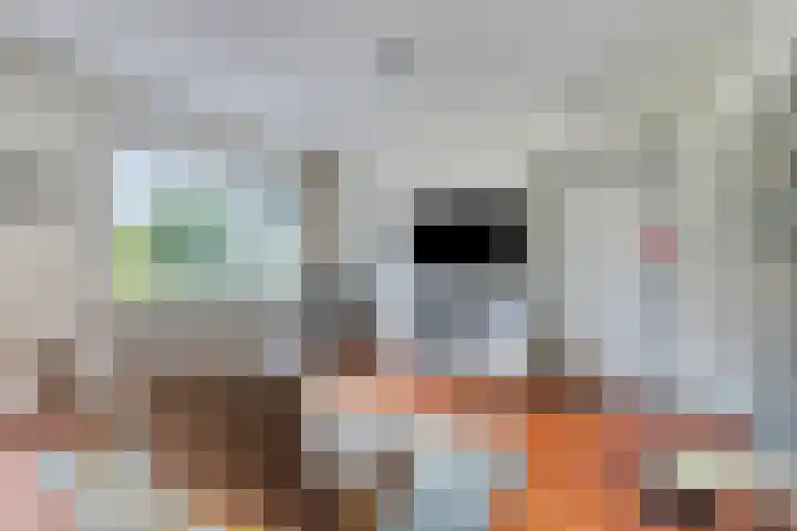 Spuilaan 3 Oudenbosch thumbnail 17
