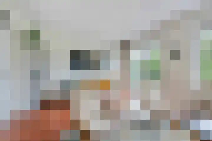 Spuilaan 3 Oudenbosch thumbnail 18