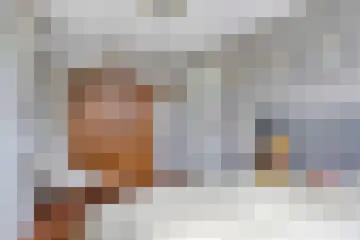 Spuilaan 3 Oudenbosch thumbnail 25