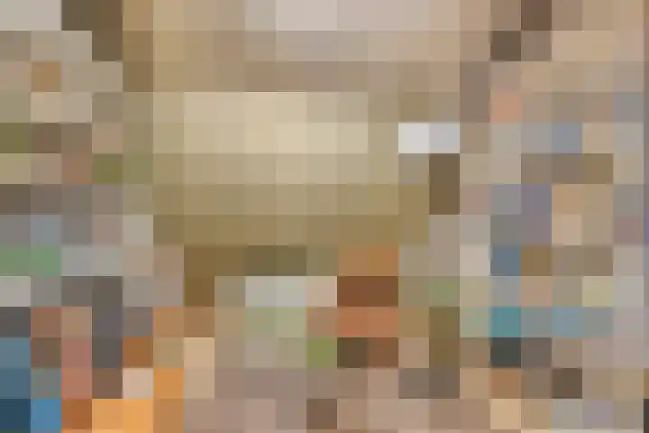 Spuilaan 3 Oudenbosch thumbnail 30