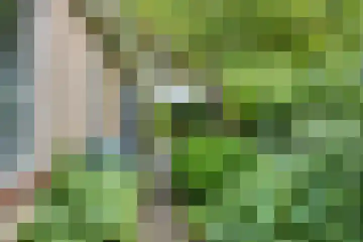 Spuilaan 3 Oudenbosch thumbnail 33