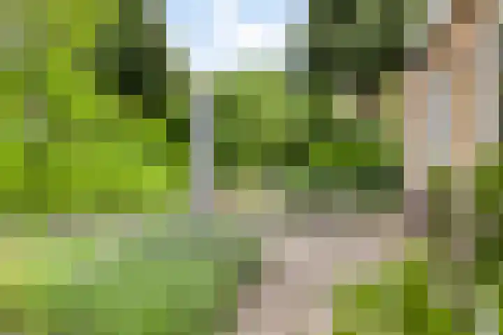 Spuilaan 3 Oudenbosch thumbnail 35