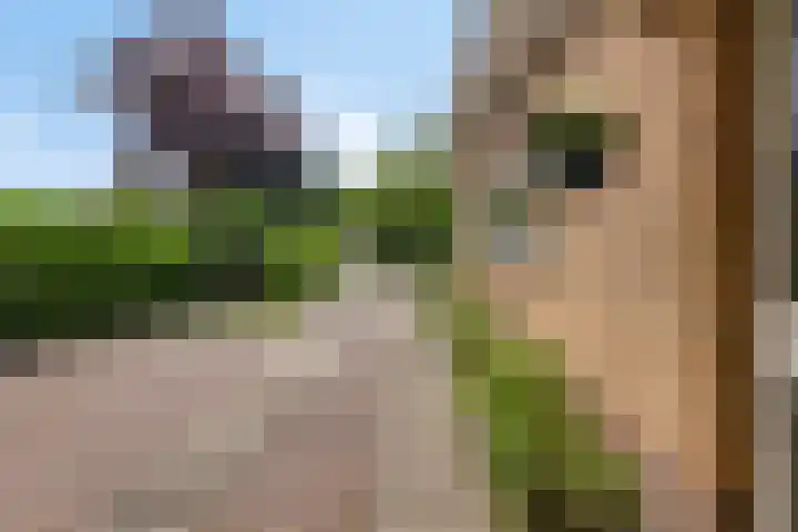 Spuilaan 3 Oudenbosch thumbnail 39