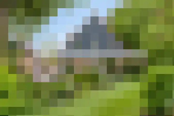 Spuilaan 3 Oudenbosch thumbnail 40