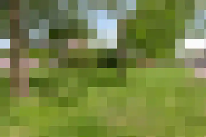 Spuilaan 3 Oudenbosch thumbnail 44