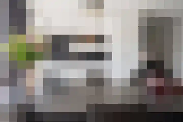 Spuilaan 316 Oudenbosch thumbnail 10