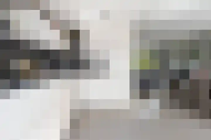 Spuilaan 316 Oudenbosch thumbnail 11