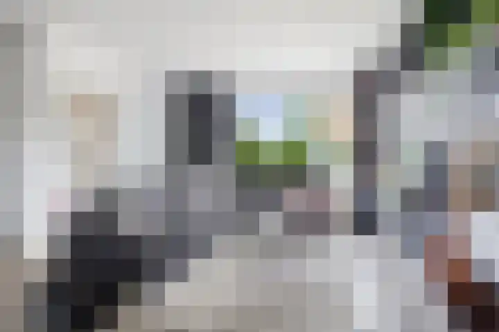 Spuilaan 316 Oudenbosch thumbnail 13