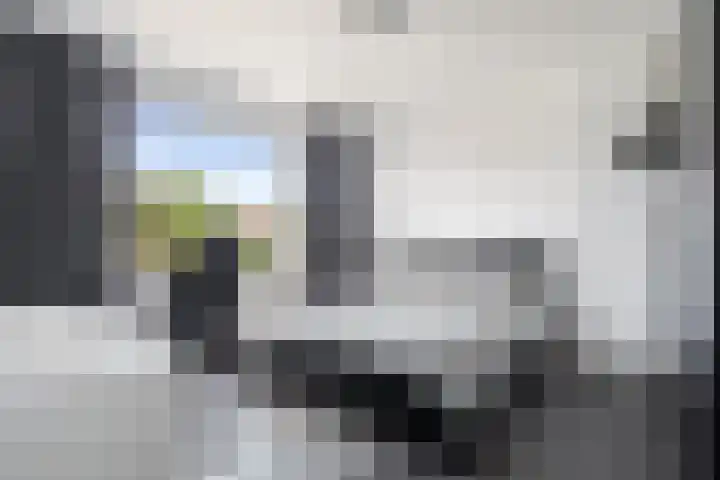 Spuilaan 316 Oudenbosch thumbnail 20