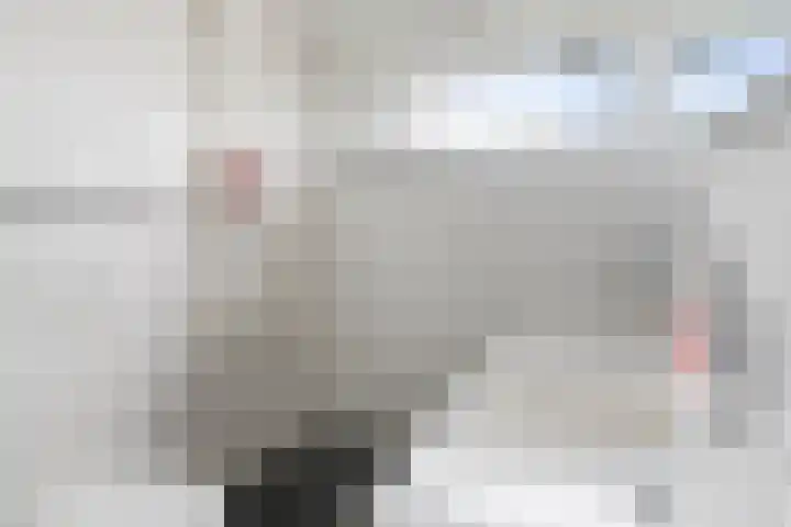 Spuilaan 316 Oudenbosch thumbnail 26