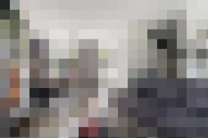 Spuilaan 316 Oudenbosch thumbnail 7