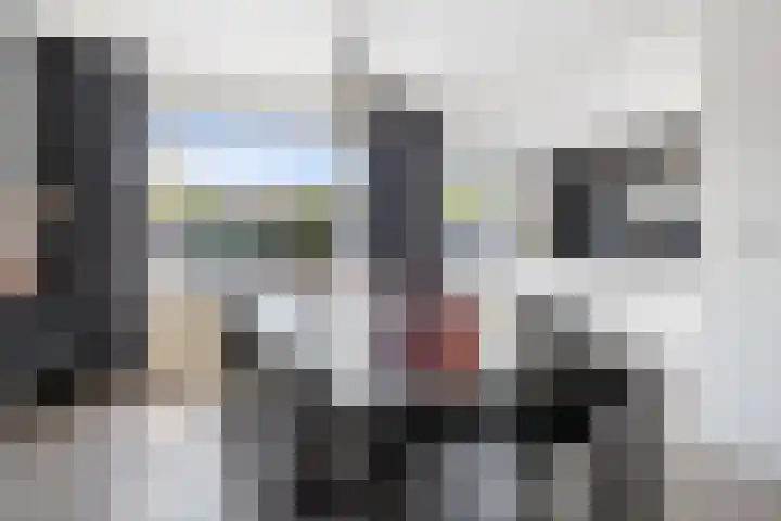 Spuilaan 316 Oudenbosch thumbnail 9