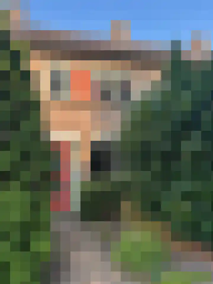 Spuilaan 36 Oudenbosch thumbnail 6