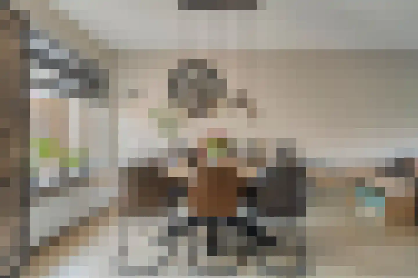 Spuilaan 360 Oudenbosch thumbnail 10