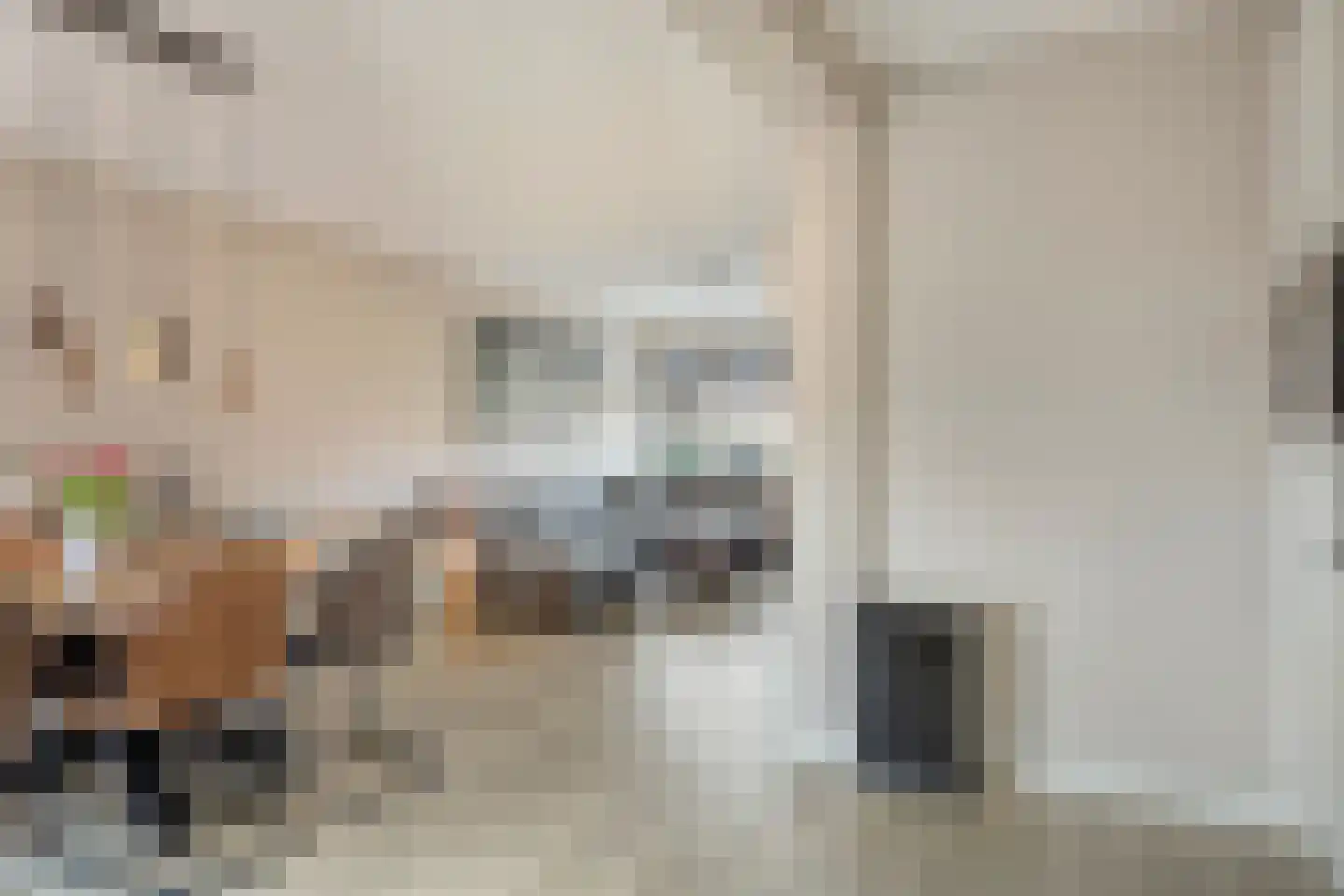 Spuilaan 360 Oudenbosch thumbnail 11