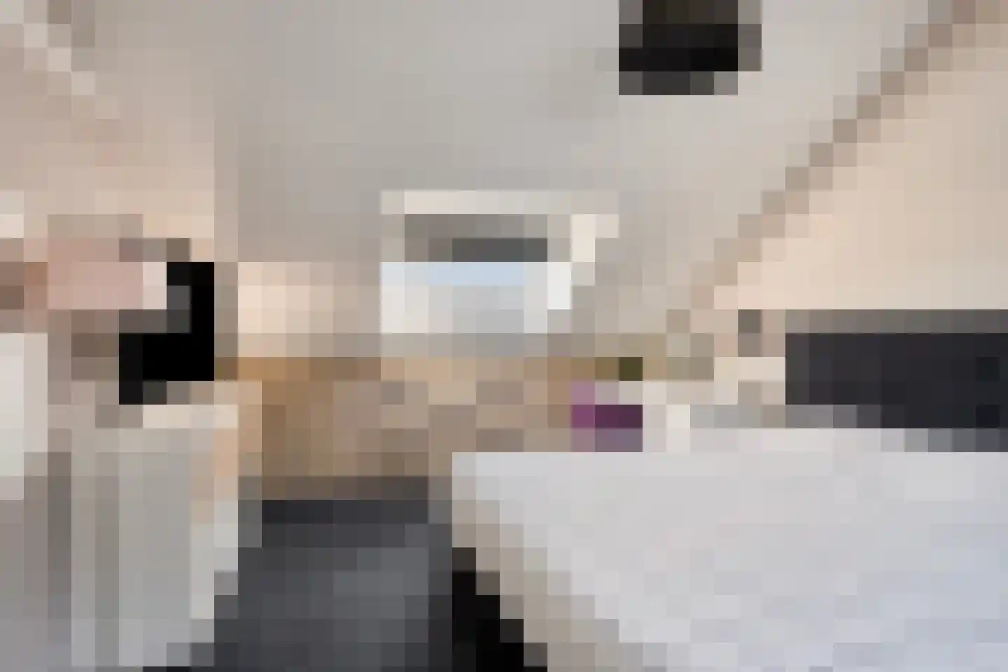 Spuilaan 360 Oudenbosch thumbnail 25