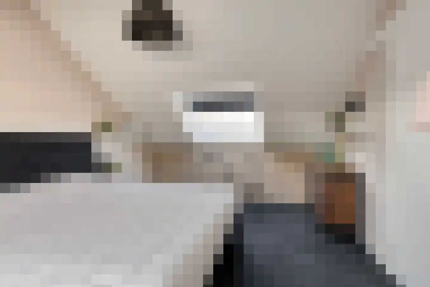 Spuilaan 360 Oudenbosch thumbnail 26