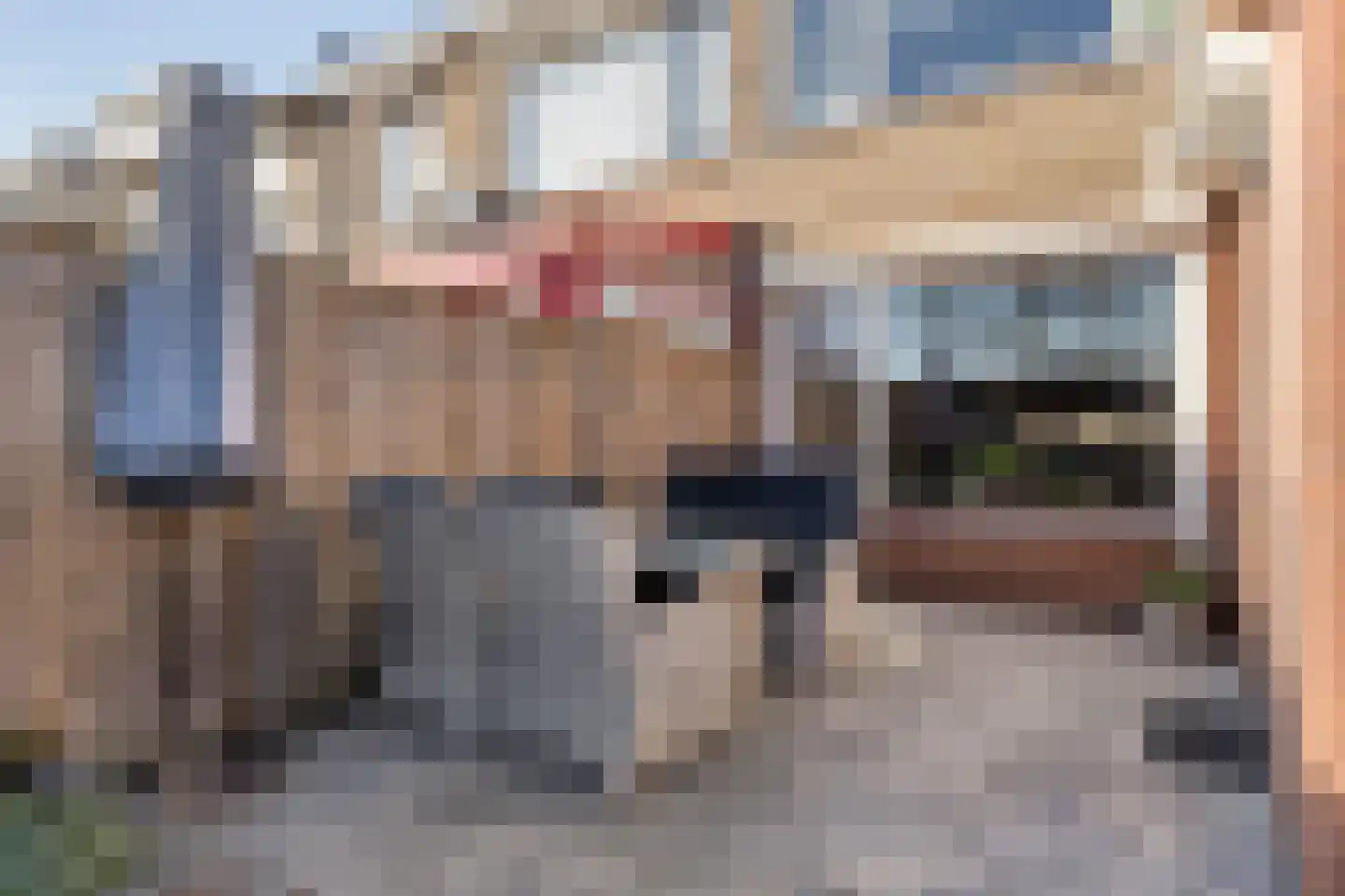 Spuilaan 360 Oudenbosch thumbnail 27