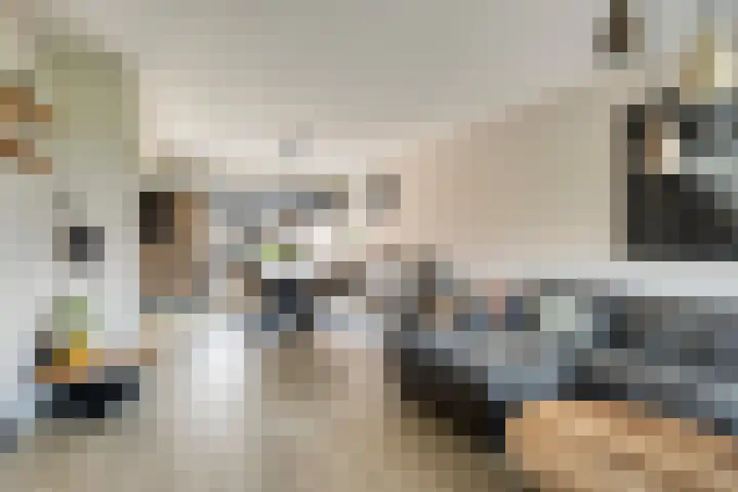 Spuilaan 360 Oudenbosch thumbnail 5