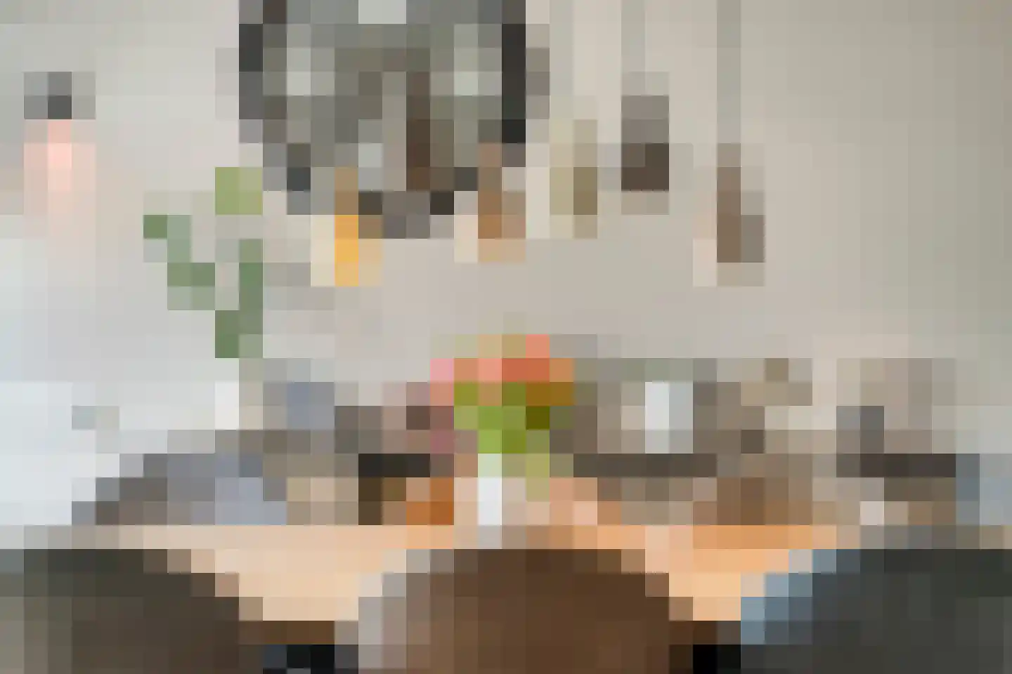 Spuilaan 360 Oudenbosch thumbnail 9