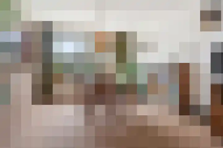 Spuilaan 386 Oudenbosch thumbnail 13