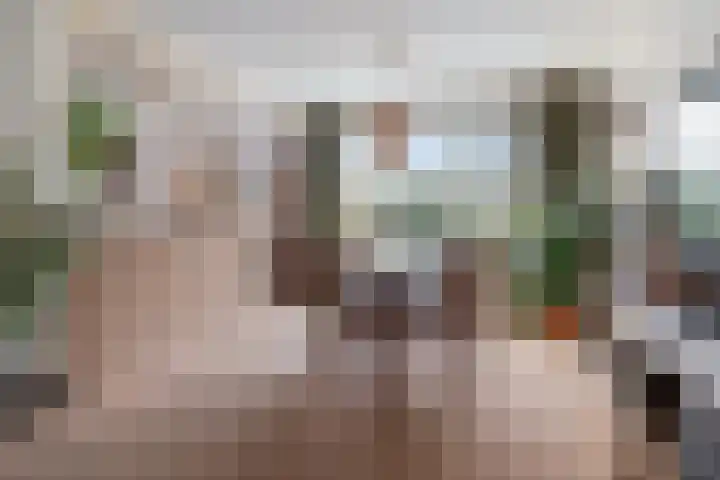 Spuilaan 386 Oudenbosch thumbnail 14