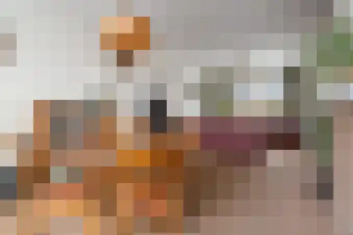 Spuilaan 386 Oudenbosch thumbnail 16