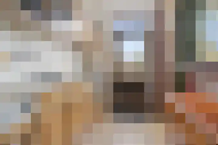 Spuilaan 386 Oudenbosch thumbnail 21
