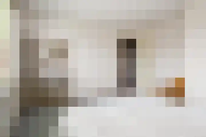 Spuilaan 386 Oudenbosch thumbnail 31