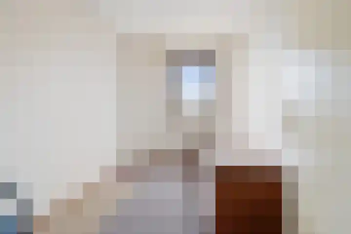 Spuilaan 386 Oudenbosch thumbnail 32