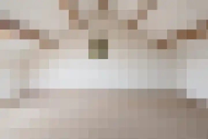 Spuilaan 386 Oudenbosch thumbnail 37