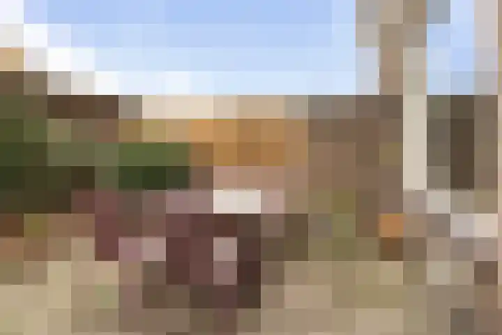 Spuilaan 386 Oudenbosch thumbnail 40