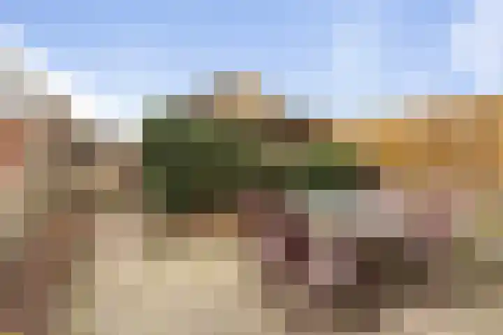 Spuilaan 386 Oudenbosch thumbnail 41