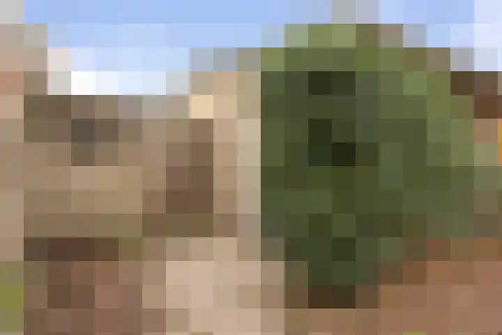 Spuilaan 386 Oudenbosch thumbnail 42