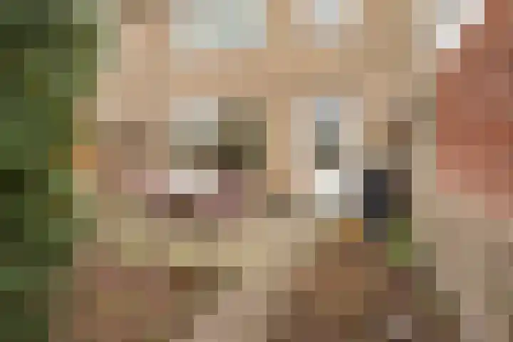 Spuilaan 386 Oudenbosch thumbnail 43