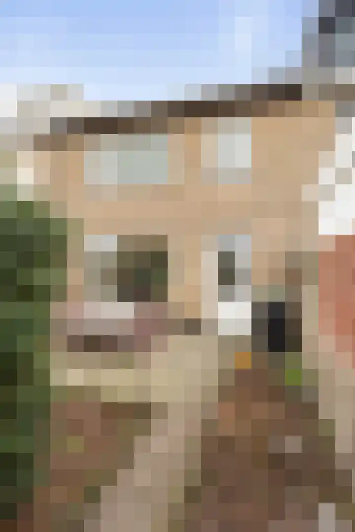 Spuilaan 386 Oudenbosch thumbnail 44