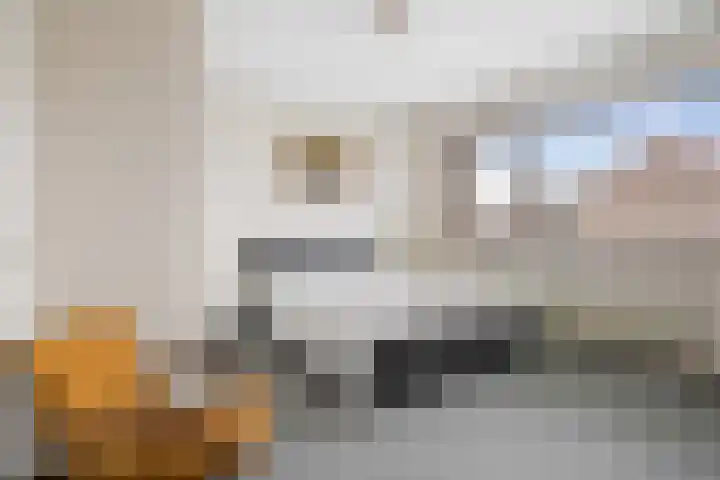 Spuilaan 386 Oudenbosch thumbnail 5
