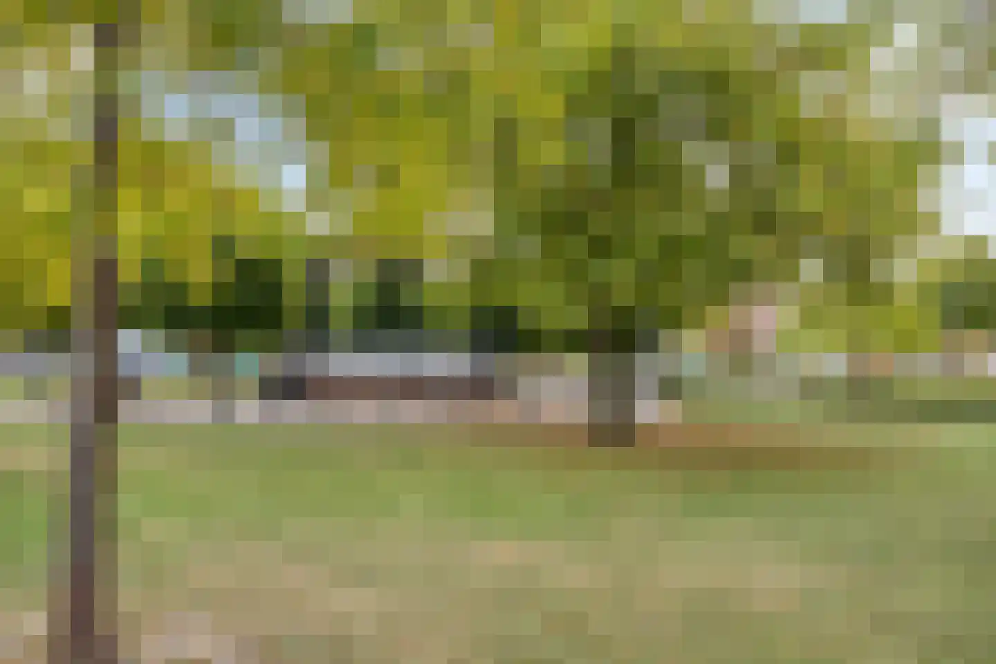Spuiplein 5 Breskens thumbnail 17