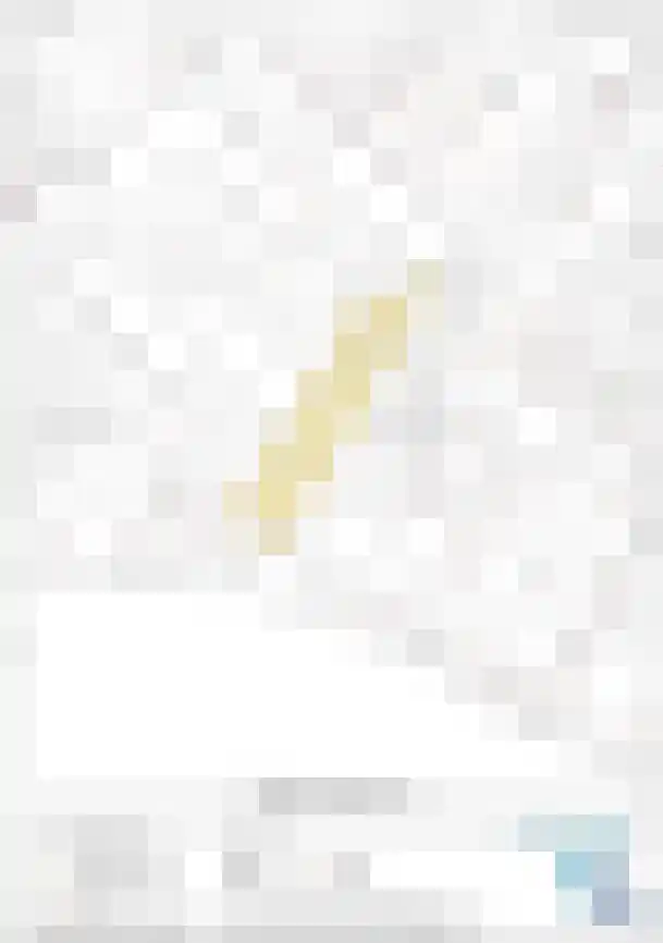 Spuiplein 5 Breskens thumbnail 20