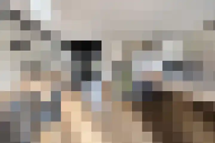 Spuislop 6 Brouwershaven thumbnail 14