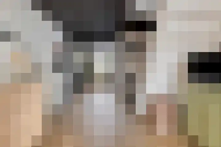 Spuislop 6 Brouwershaven thumbnail 17