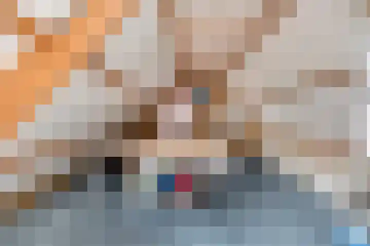 Spuislop 6 Brouwershaven thumbnail 22