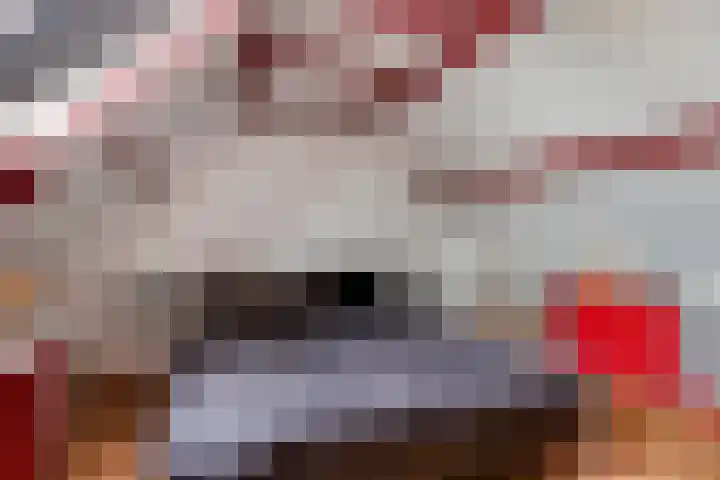 Spuislop 6 Brouwershaven thumbnail 24