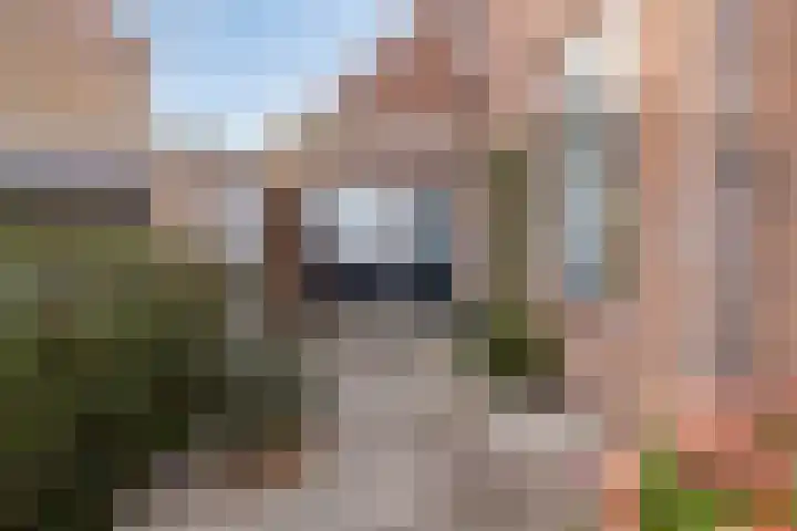 Spuislop 6 Brouwershaven thumbnail 43